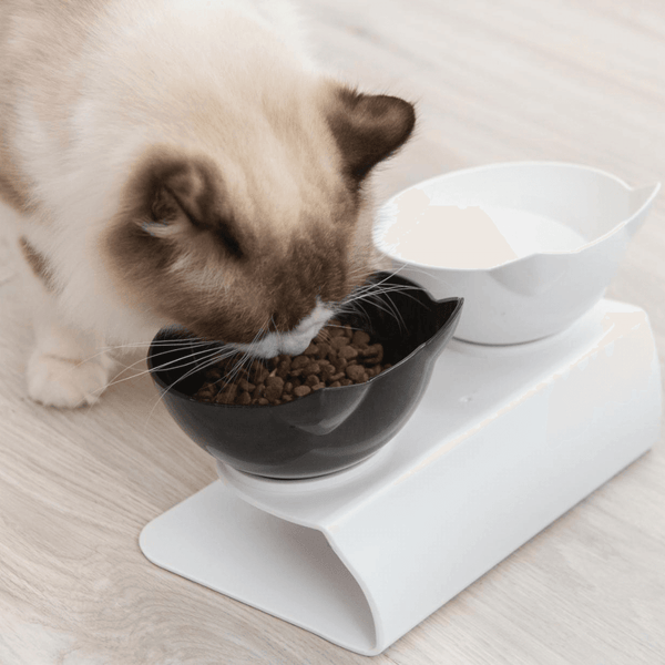 ZADAIA FOBO - Innovative Doppel-Futterschüssel für eine verbesserte Haltung