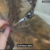 ZADAIA ANTILO - Sicheres GPS-Halsband mit reflektierenden Streifen für Haustiere