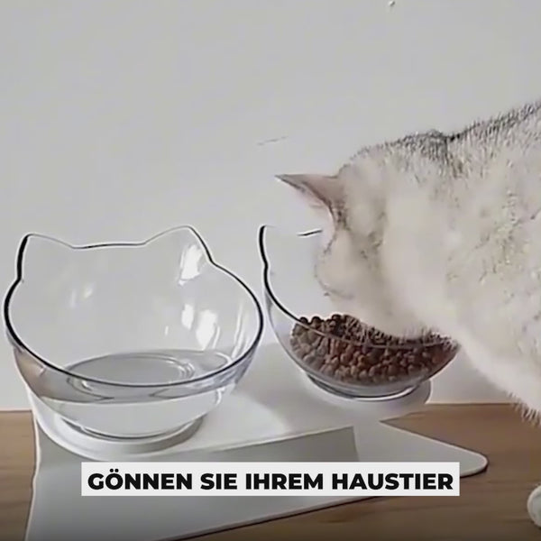 ZADAIA FOBO - Innovative Doppel-Futterschüssel für eine verbesserte Haltung